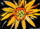 Sunflower Wall Decal Design 2