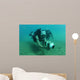 Us Navy Diver Uses Wall Decal