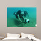 Us Navy Diver Uses Wall Decal