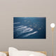 Republic Korea Amphibious Assault Wall Decal Design 3