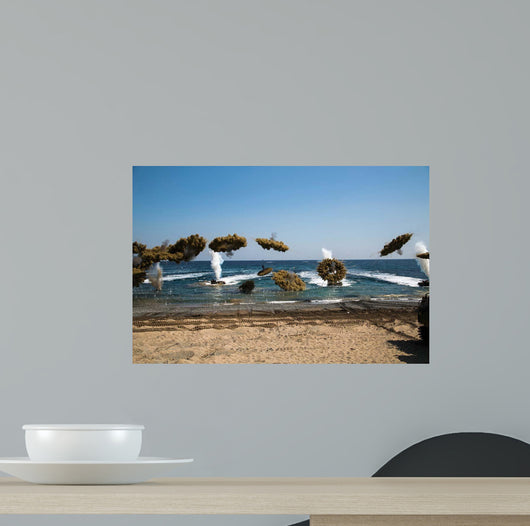 Amphibious Assault Training Doksukri Wall Decal