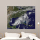 Tropical Storm Hermine Gulf Wall Decal