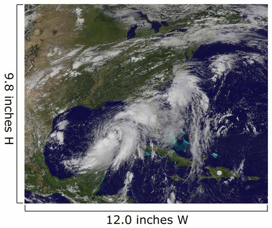 Tropical Storm Hermine Gulf Wall Decal