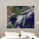 Hurricane Hermine Blanketing Entire Wall Decal
