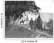 Group American Civil War Wall Decal