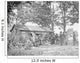 Camp Scene Sutler's Store Wall Decal