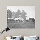 New York Herald Headquarters Wall Decal