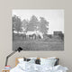 New York Herald Headquarters Wall Decal