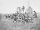 Infantry Resting from Drills Wall Decal