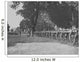 Artillery Park during American Wall Decal