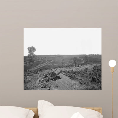 Battlefield Resaca Georgia during Wall Decal shown on a wall