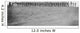 Infantry Parade during American Wall Decal Design 3