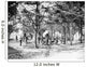 Military Camp Set up Wall Decal