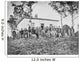 Group Soldiers Camp during Wall Decal