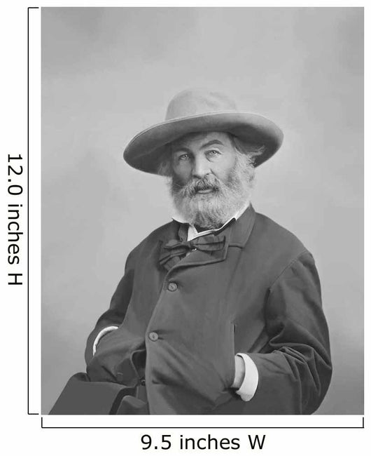 Walt Whitman Portrait circa Wall Decal Design 2