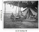 Officers from 5th Us Wall Decal