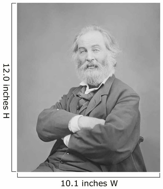 Walt Whitman Portrait circa Wall Decal Design 1