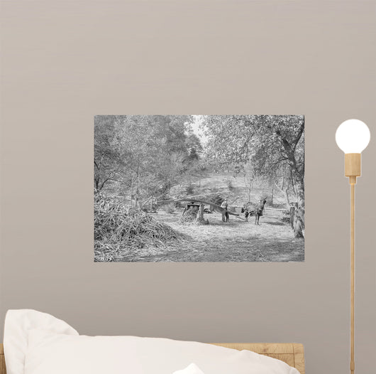 Grinding Cane for Sorghum Wall Decal