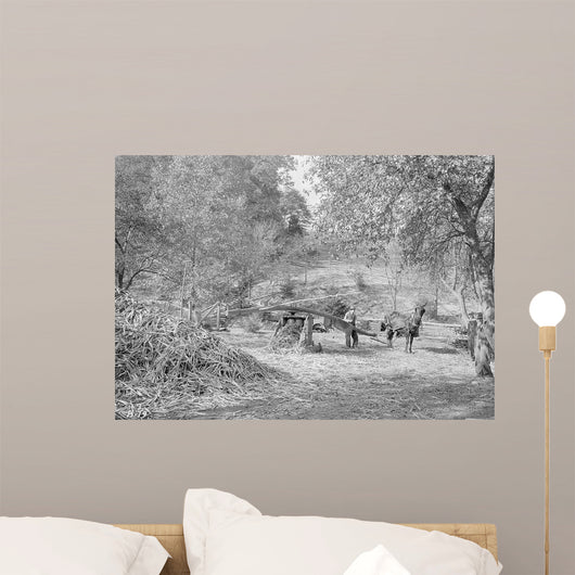 Grinding Cane for Sorghum Wall Decal