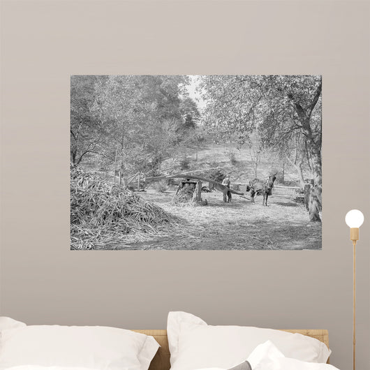 Grinding Cane for Sorghum Wall Decal