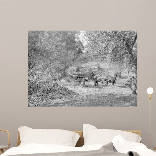 Grinding Cane for Sorghum Wall Decal