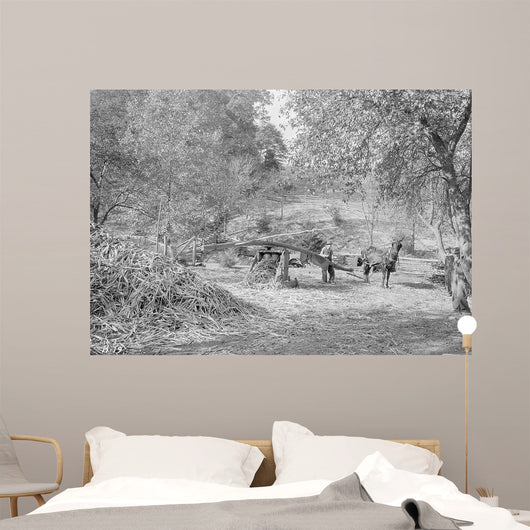 Grinding Cane for Sorghum Wall Decal