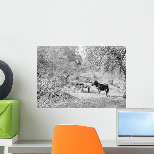 Grinding Sorghum Cane near Wall Decal