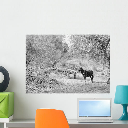 Grinding Sorghum Cane near Wall Decal