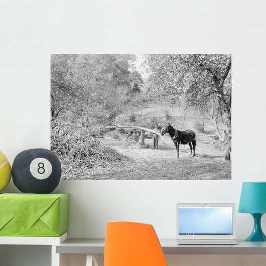 Grinding Sorghum Cane near Wall Decal