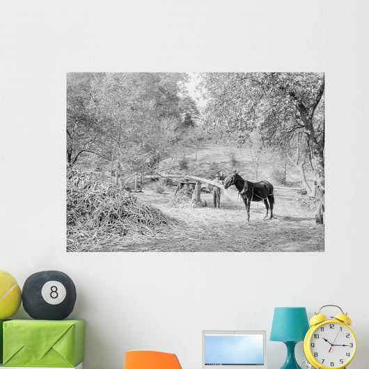Grinding Sorghum Cane near Wall Decal