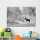 Grinding Sorghum Cane near Wall Decal