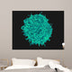 Colorized Scanning Electron Micrograph Wall Decal