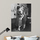 Soldier from 69th Regiment Wall Decal