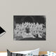 Group Nurses from Polish Wall Decal