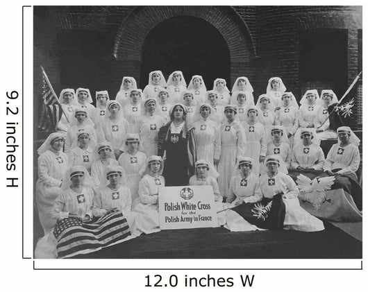 Group Nurses from Polish Wall Decal