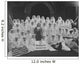Group Nurses from Polish Wall Decal