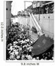 Refugees Wait to Board Wall Decal
