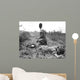 Young American Lieutenant Is Wall Decal