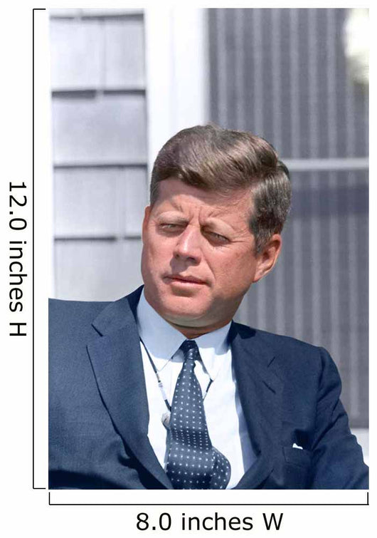 Digitally Restored Photo President Wall Decal