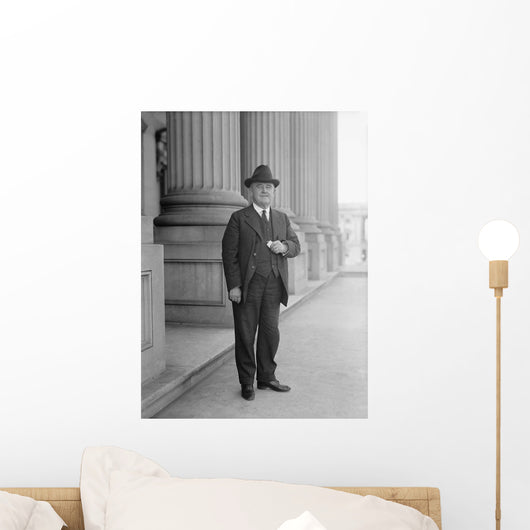 Senator William Brown McKinley Wall Decal