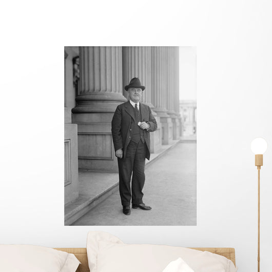 Senator William Brown McKinley Wall Decal