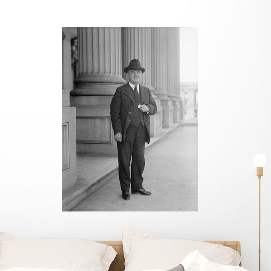 Senator William Brown McKinley Wall Decal