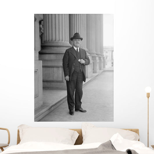 Senator William Brown McKinley Wall Decal