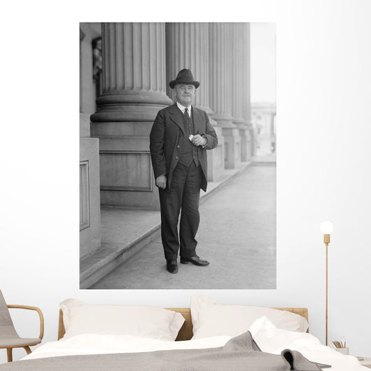 Senator William Brown McKinley Wall Decal