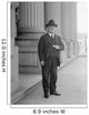 Senator William Brown McKinley Wall Decal