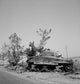 Wreckage General Sherman Tank Wall Decal