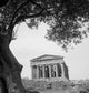 Ancient Greek Temple Agrigento Wall Decal