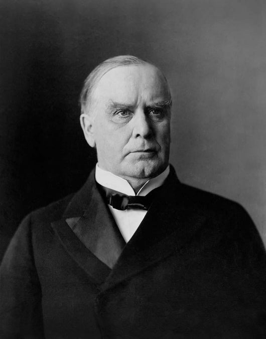 William McKinley Portrait circa Wall Decal