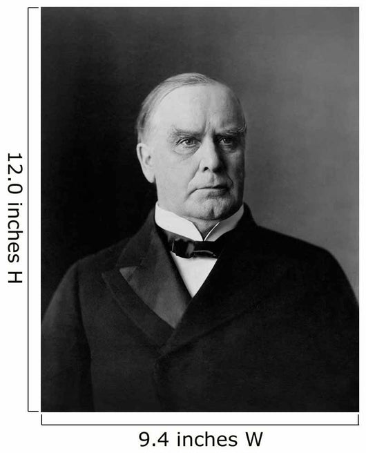 William McKinley Portrait circa Wall Decal