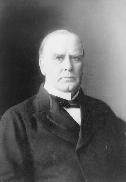 William McKinley Portrait circa Wall Decal Design 2